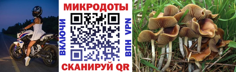 Галлюциногенные грибы GOLDEN TEACHER Ижевск