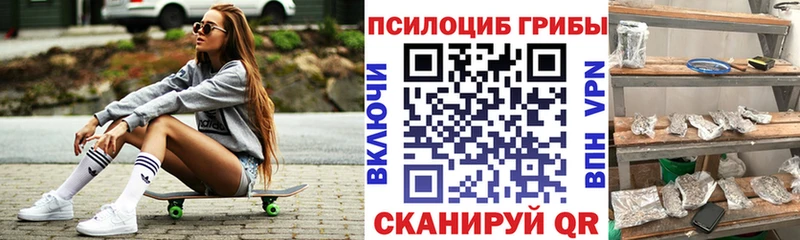 сайты даркнета формула Ижевск Псилоцибиновые грибы Cubensis